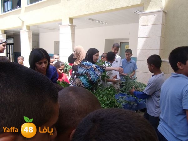 sooqelzahra2lud602 (62).JPG